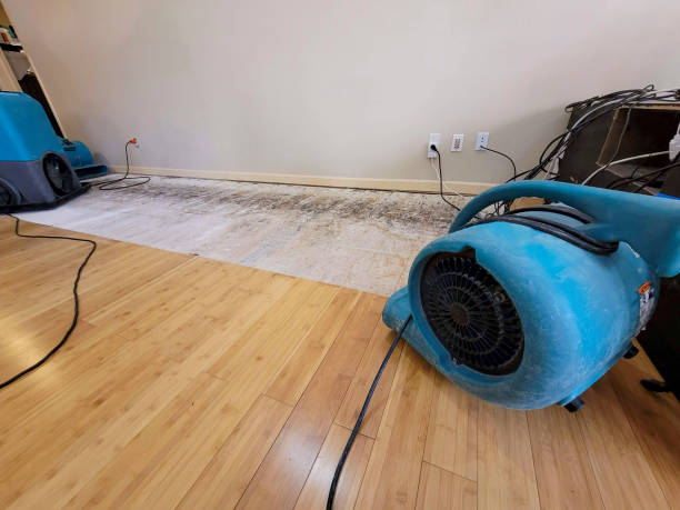 Reliable Basement Flood Cleanup contractor in Hamburg, MI by Hirex Water Damage