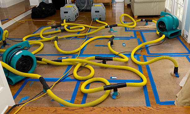 Professional Basement Flood Cleanup technician working in Hamburg, MI